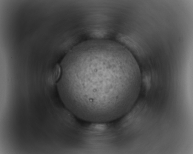 X0000093170665200710031505