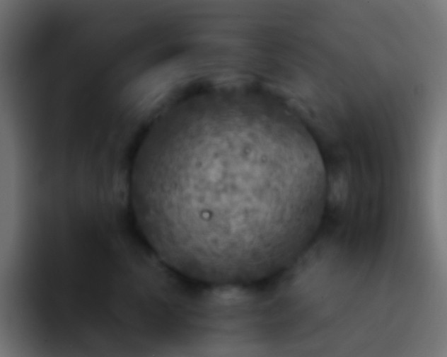 X0000093170666200710031505
