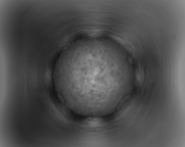 X0000093170667200710031505