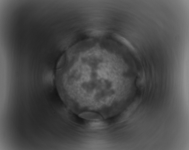 X0000093170669200710031505