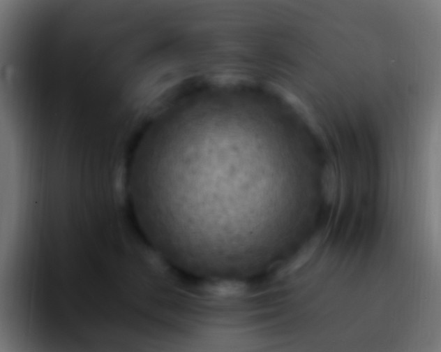 X0000093170670200710031505