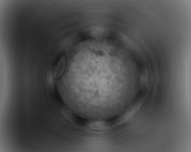 X0000093170671200710031505