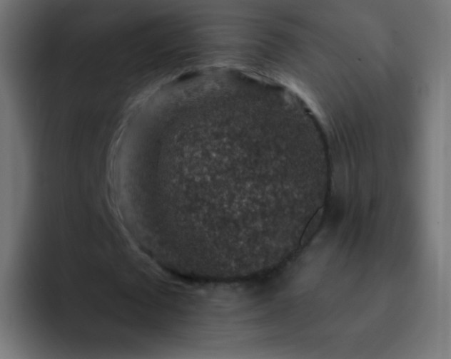 X0000093170673200710031504