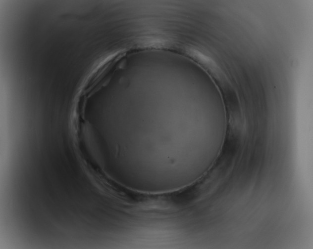 X0000093170674200710031504