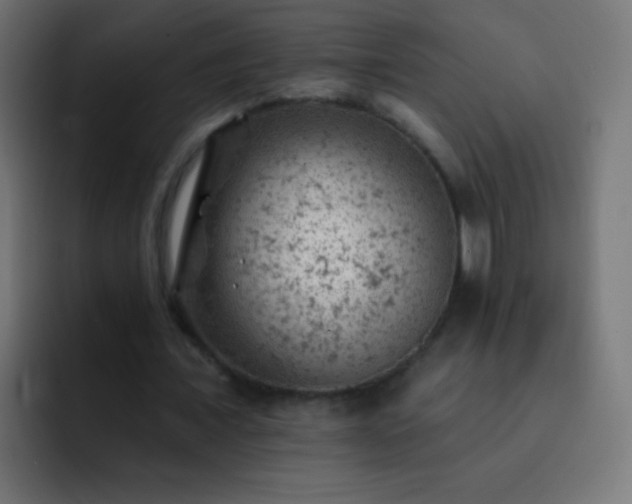 X0000093170675200710031504