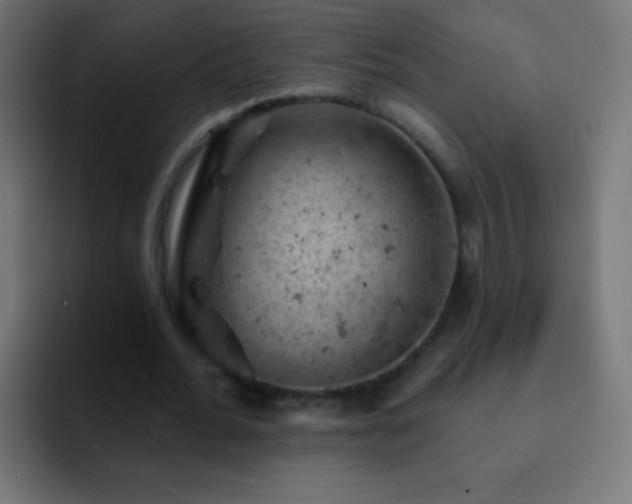 X0000093170676200710031504