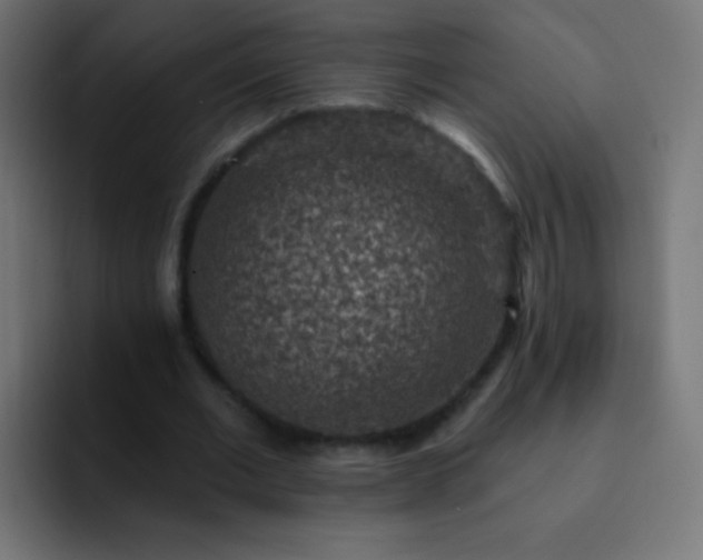 X0000093170677200710031504