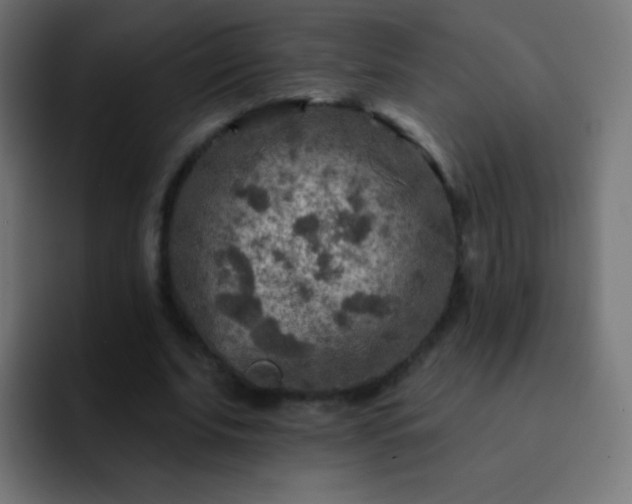 X0000093170679200710031504