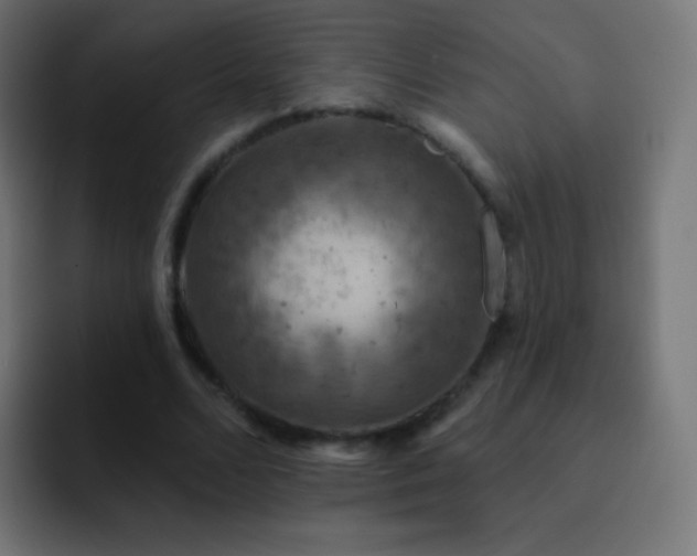 X0000093170680200710031504