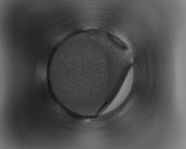 X0000093170681200710031504