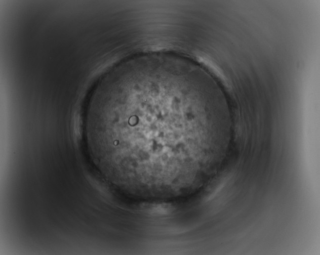 X0000093170683200710031504