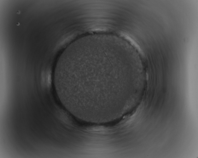X0000093170685200710031504