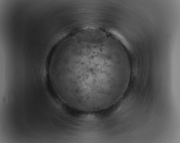 X0000093170687200710031504
