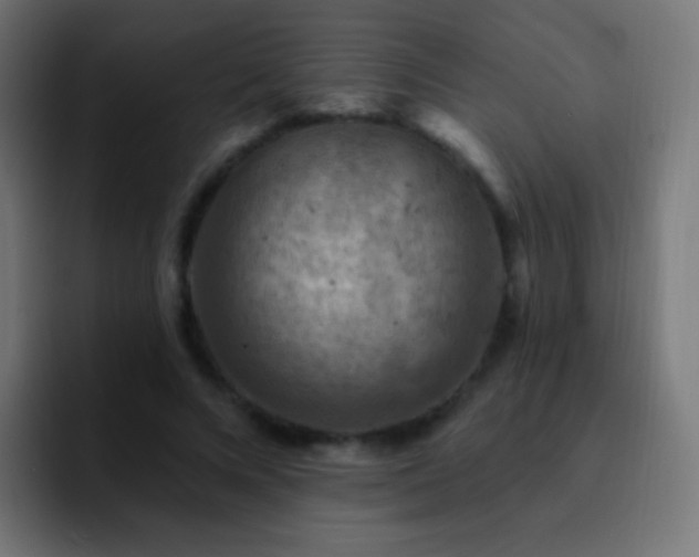X0000093170688200710031504