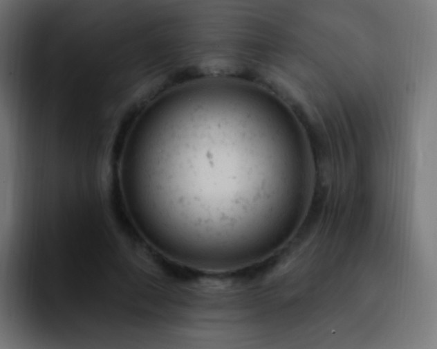X0000093170690200710031504