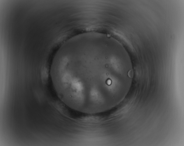 X0000093170691200710031504