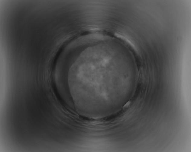 X0000093170692200710031504