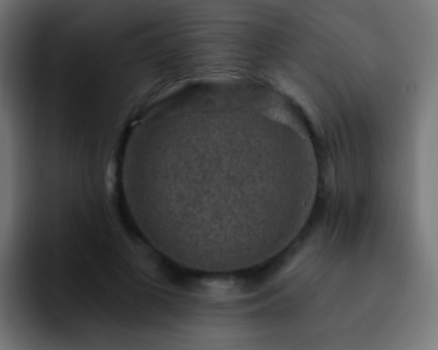 X0000093170693200710031504