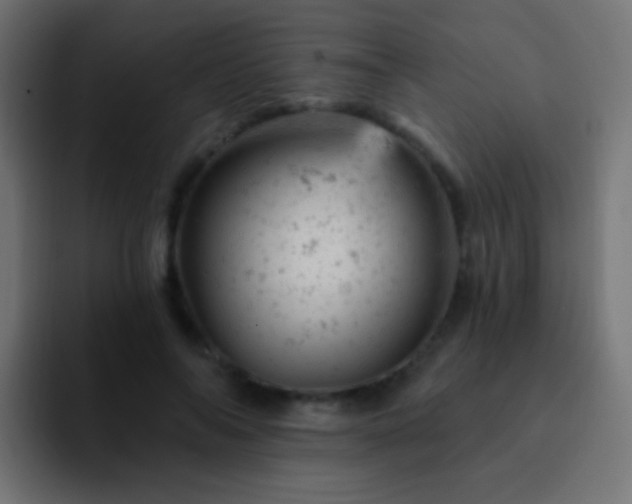 X0000093170694200710031504
