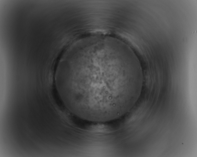 X0000093170695200710031504