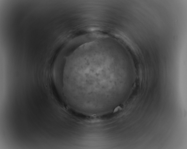 X0000093170696200710031504