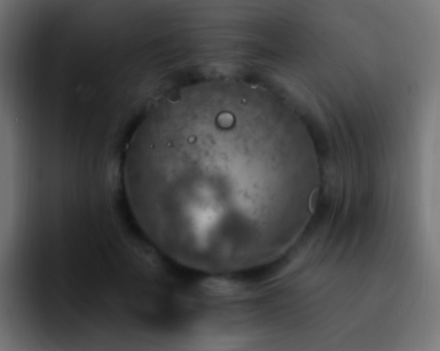 X0000093170699200710031504