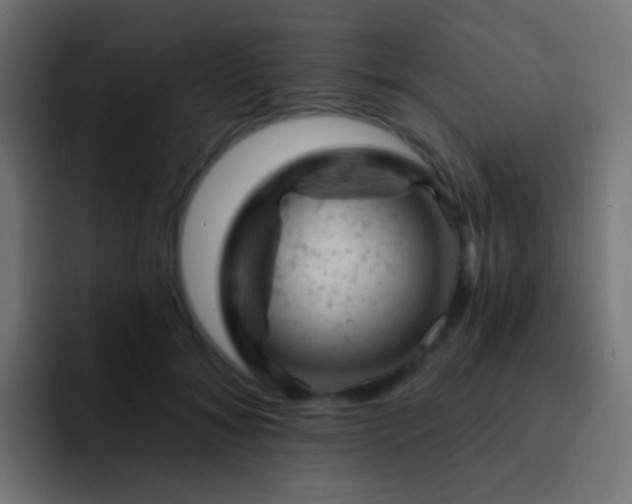 X0000093170700200710031504
