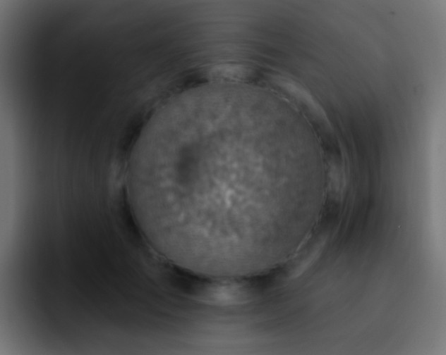 X0000093170701200710031504