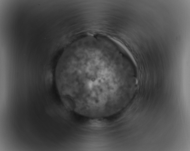 X0000093170703200710031504