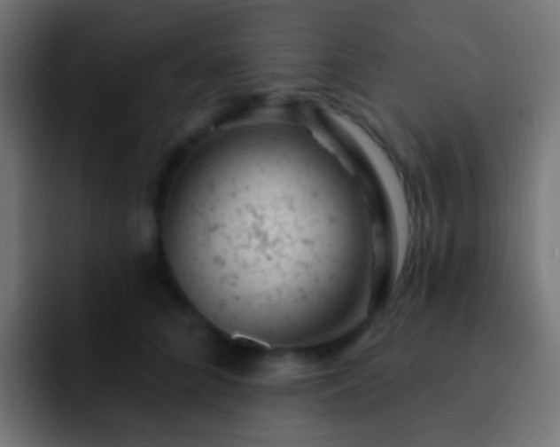 X0000093170704200710031504