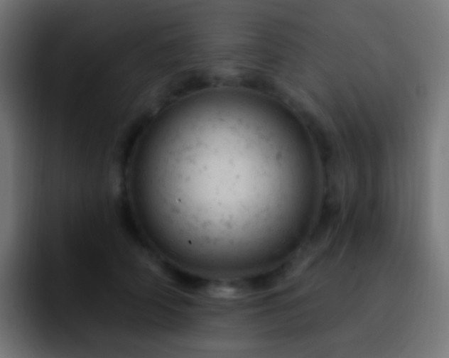 X0000093170706200710031504