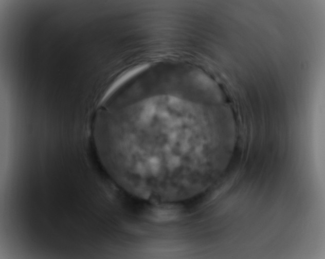 X0000093170707200710031504