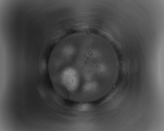 X0000093170711200710031504