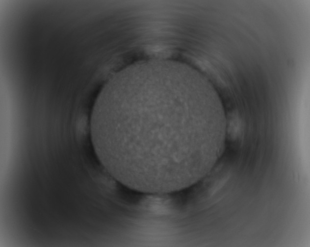X0000093170713200710031504