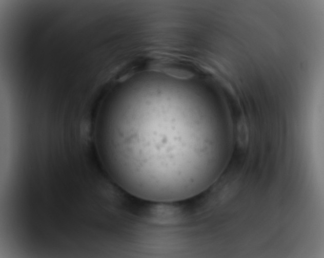 X0000093170714200710031504