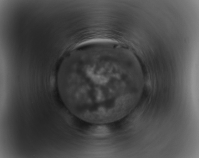 X0000093170715200710031504