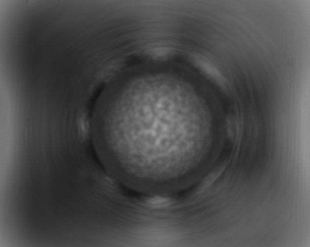 X0000093170718200710031504
