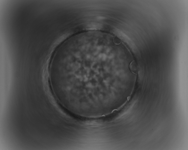 X0000093170721200710031503