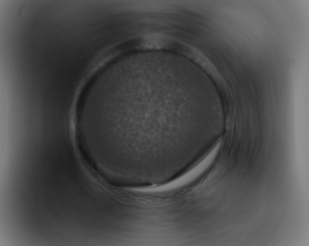 X0000093170722200710031503
