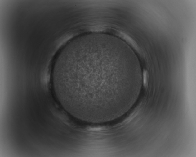 X0000093170723200710031503