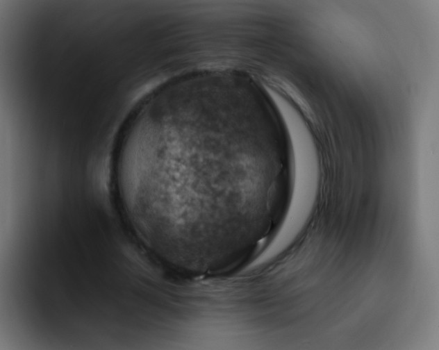 X0000093170724200710031503