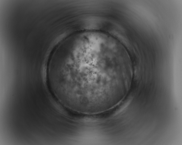 X0000093170725200710031503