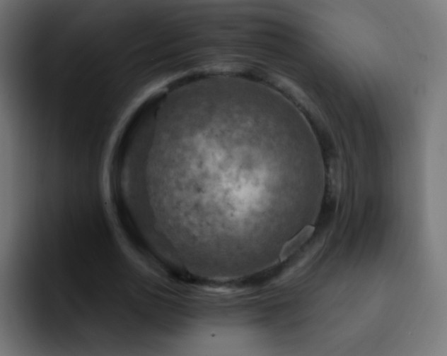 X0000093170726200710031503