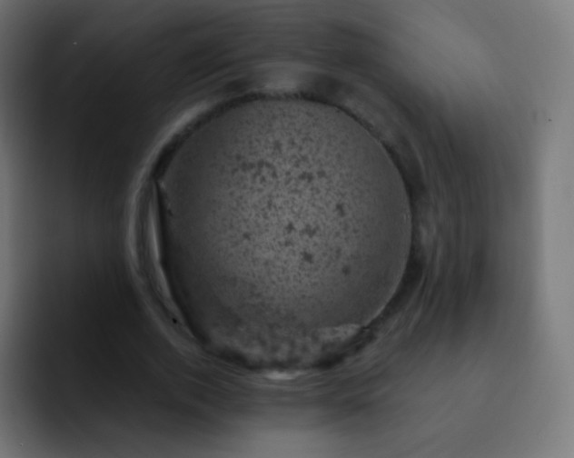 X0000093170728200710031503