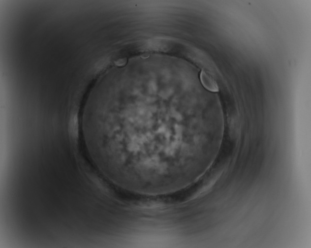 X0000093170729200710031503