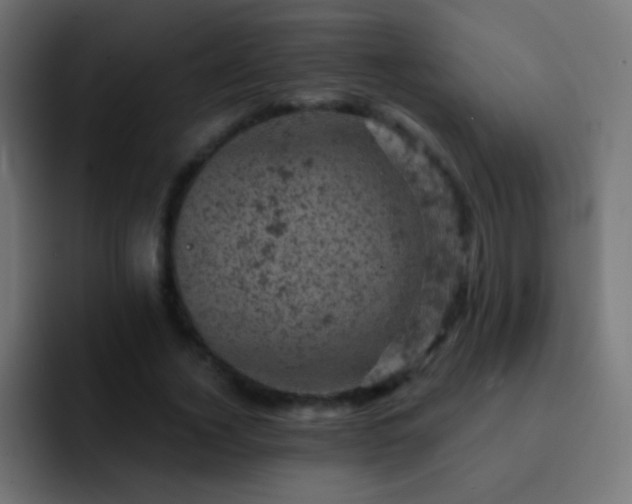 X0000093170732200710031503