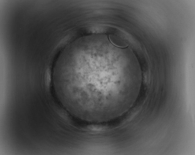 X0000093170733200710031503
