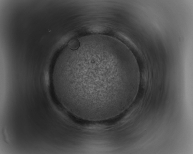 X0000093170734200710031503