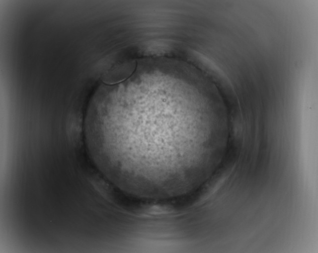 X0000093170737200710031503