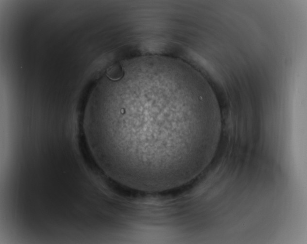 X0000093170738200710031503